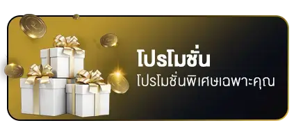 โปรโมชั่น roo99